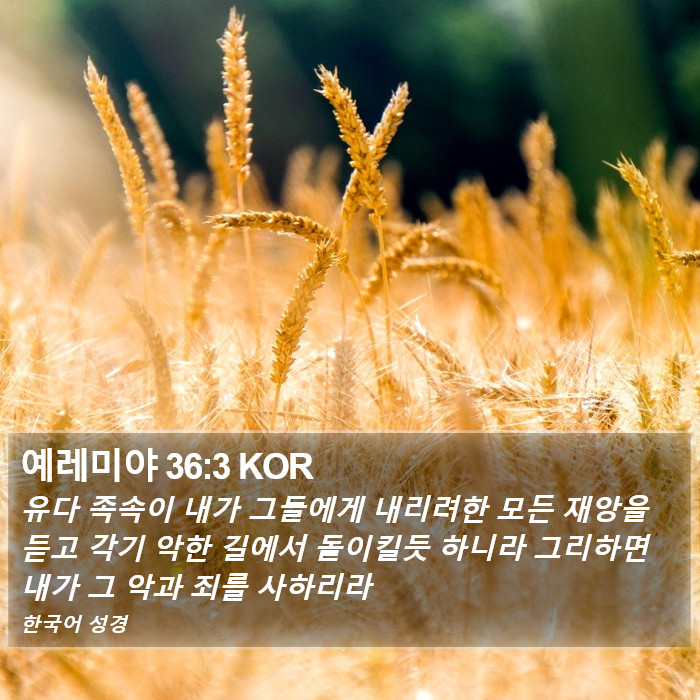 예레미야 36:3 KOR Bible Study
