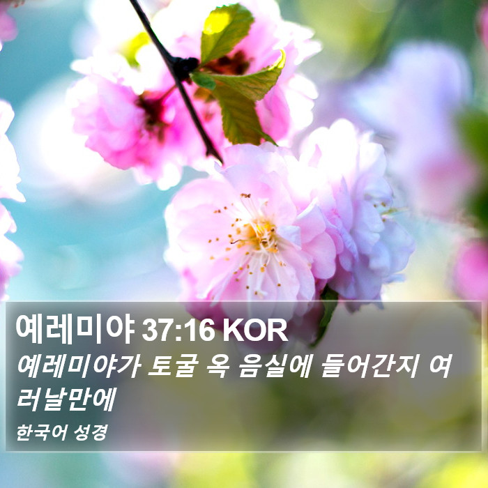 예레미야 37:16 KOR Bible Study