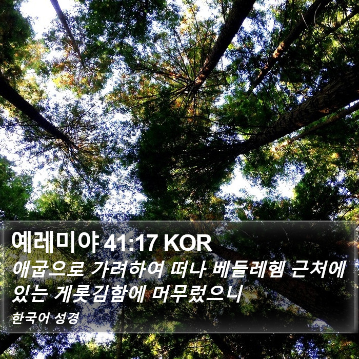 예레미야 41:17 KOR Bible Study