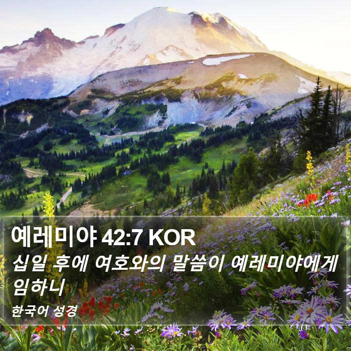 예레미야 42:7 KOR Bible Study