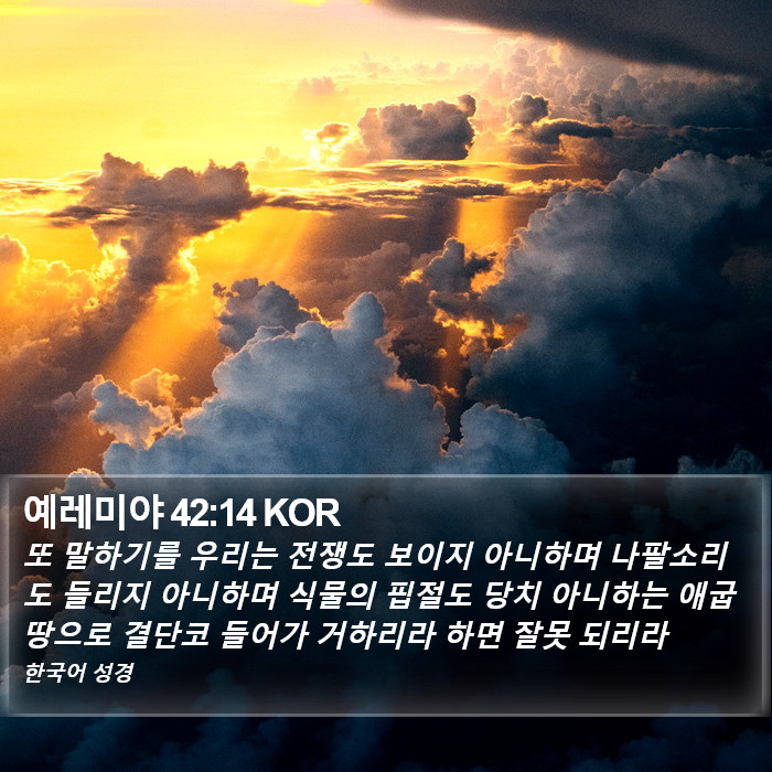 예레미야 42:14 KOR Bible Study