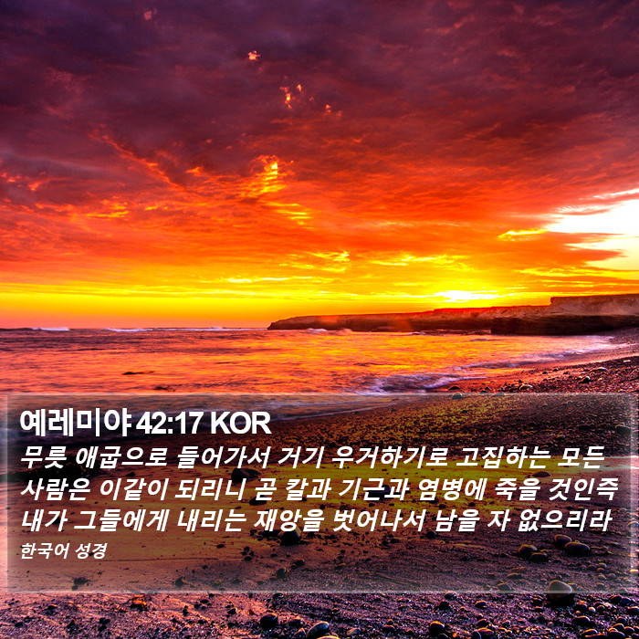 예레미야 42:17 KOR Bible Study