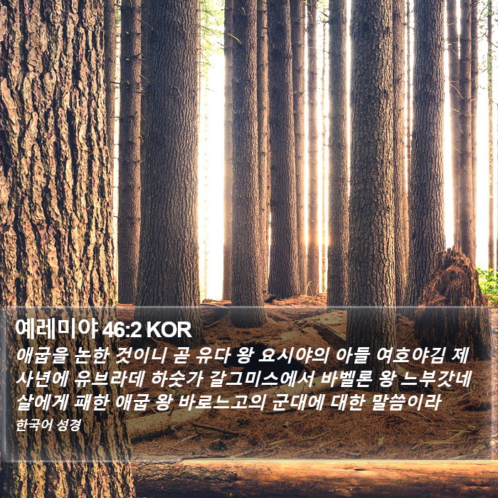 예레미야 46:2 KOR Bible Study