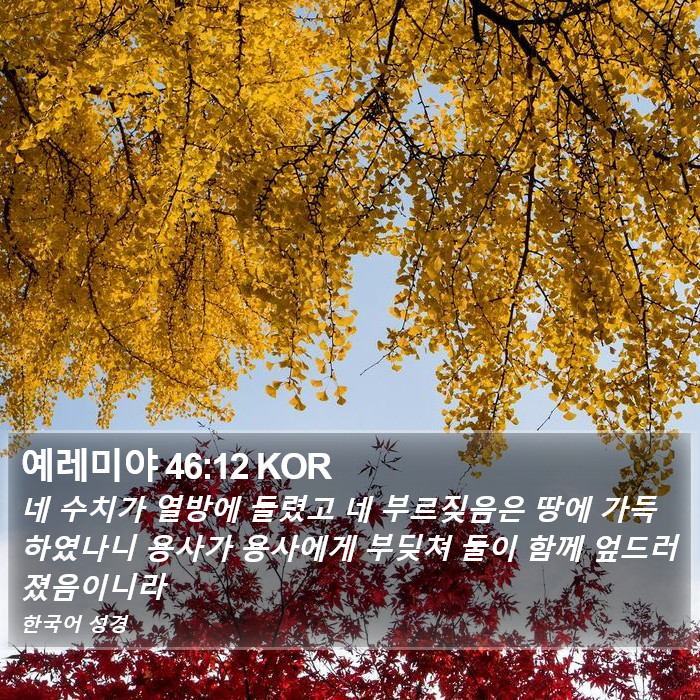 예레미야 46:12 KOR Bible Study