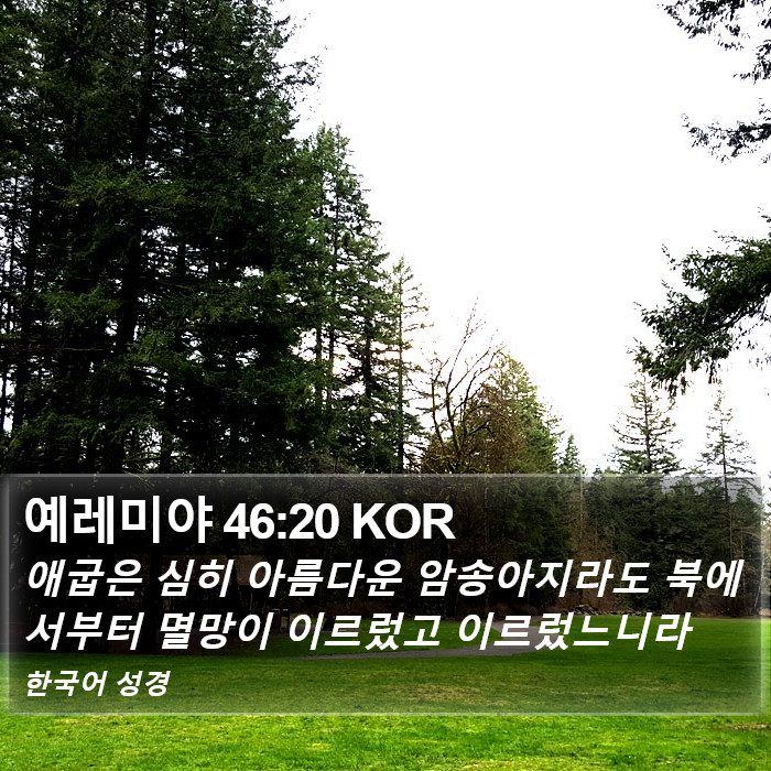 예레미야 46:20 KOR Bible Study