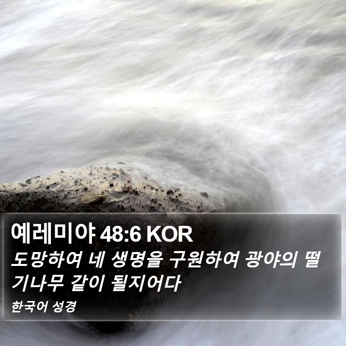 예레미야 48:6 KOR Bible Study