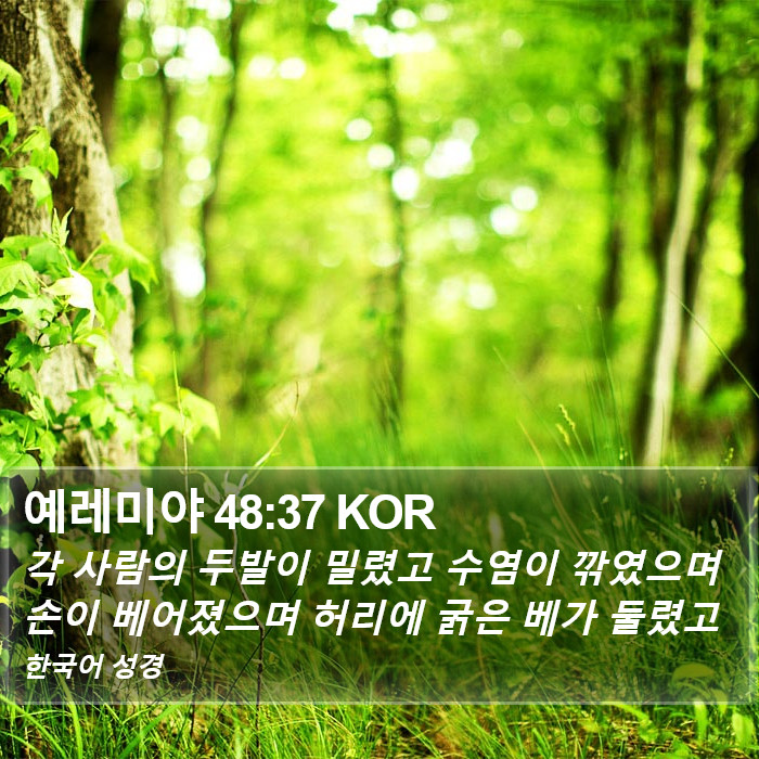 예레미야 48:37 KOR Bible Study
