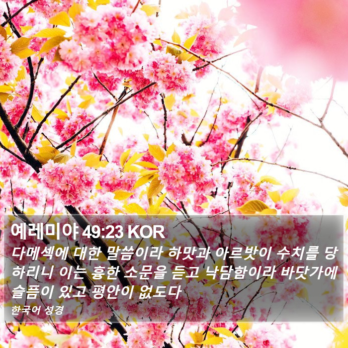 예레미야 49:23 KOR Bible Study
