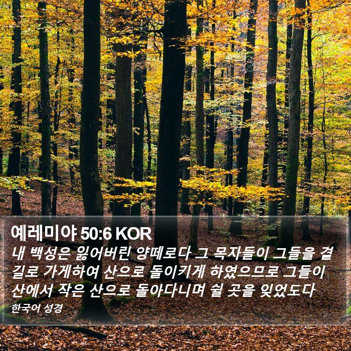 예레미야 50:6 KOR Bible Study