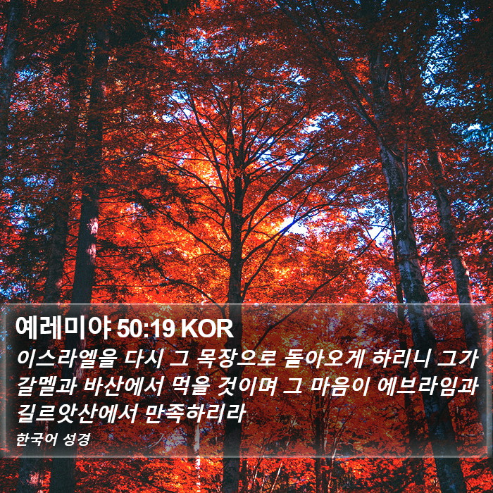 예레미야 50:19 KOR Bible Study