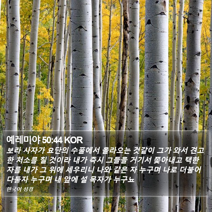 예레미야 50:44 KOR Bible Study