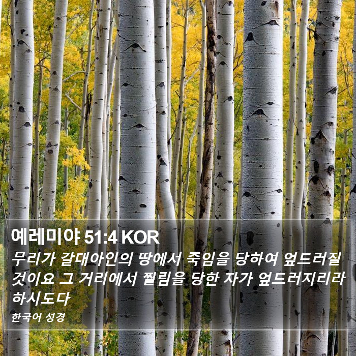 예레미야 51:4 KOR Bible Study