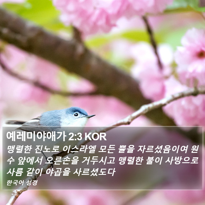 예레미야애가 2:3 KOR Bible Study