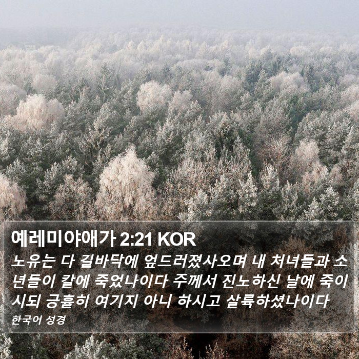 예레미야애가 2:21 KOR Bible Study
