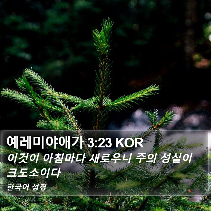 예레미야애가 3:23 KOR Bible Study