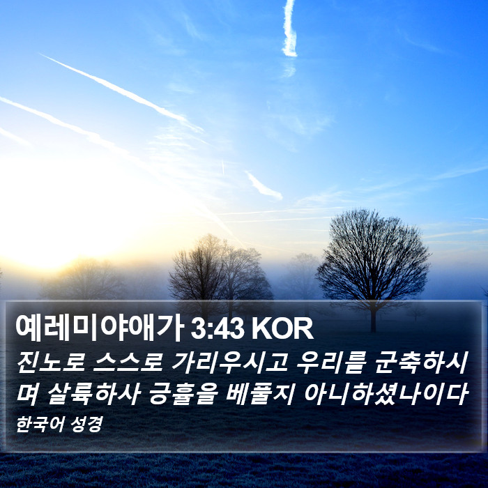 예레미야애가 3:43 KOR Bible Study