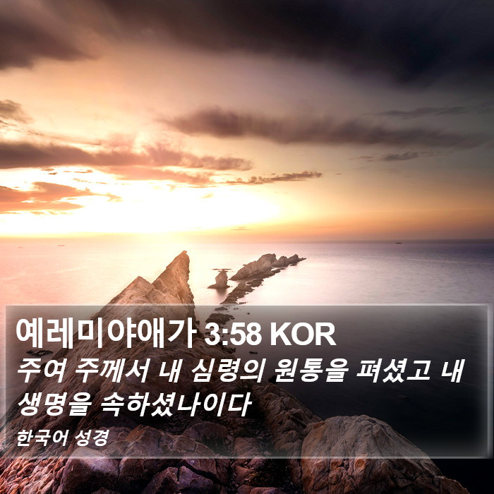예레미야애가 3:58 KOR Bible Study
