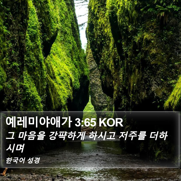 예레미야애가 3:65 KOR Bible Study