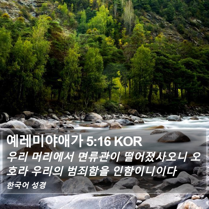 예레미야애가 5:16 KOR Bible Study