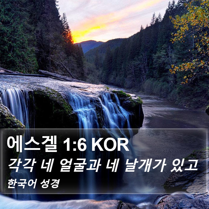 에스겔 1:6 KOR Bible Study