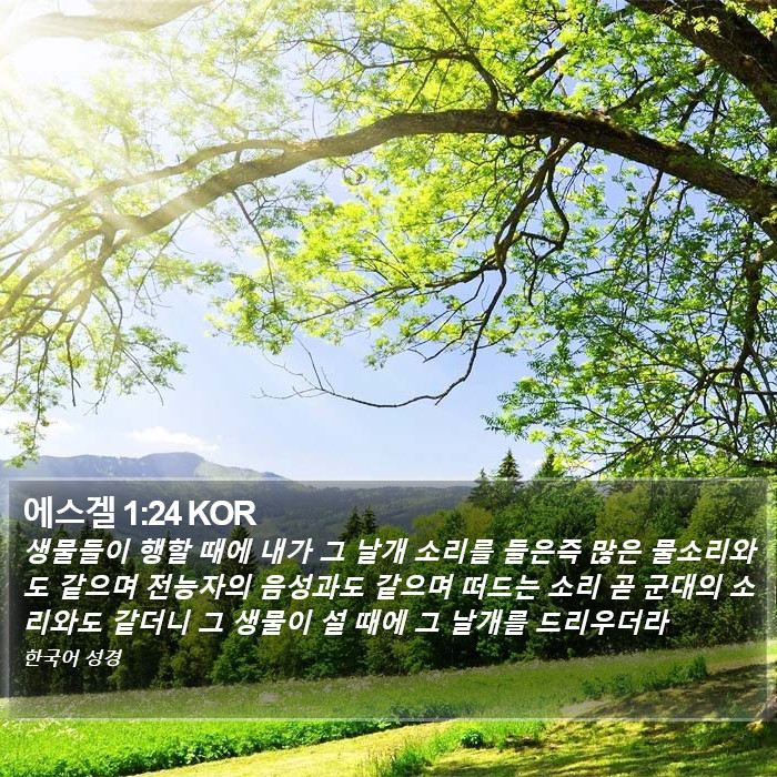 에스겔 1:24 KOR Bible Study