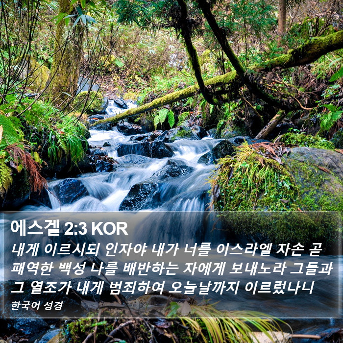 에스겔 2:3 KOR Bible Study