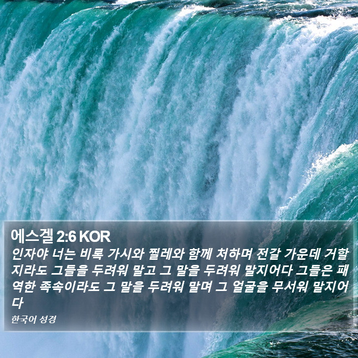 에스겔 2:6 KOR Bible Study