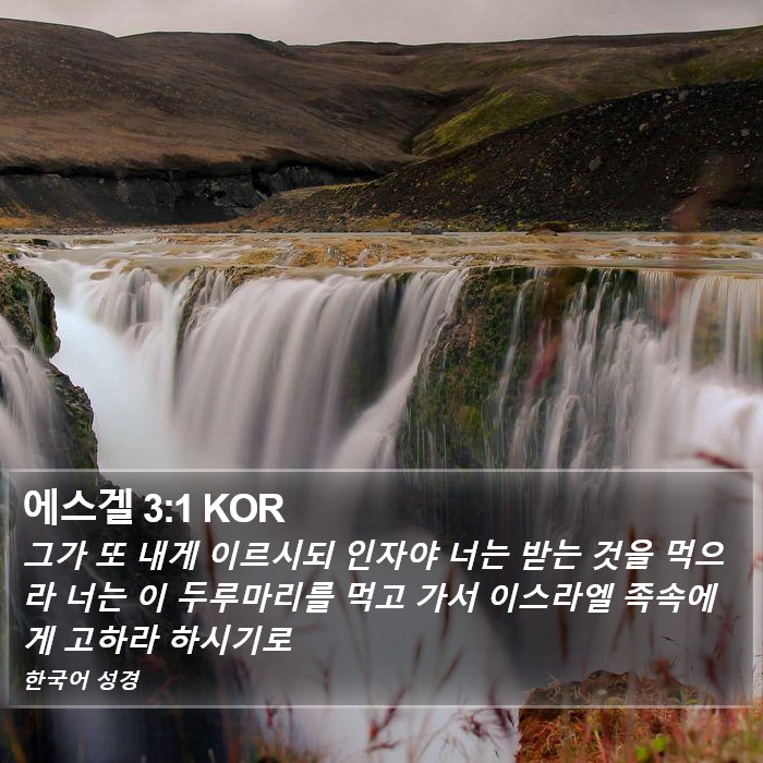 에스겔 3:1 KOR Bible Study