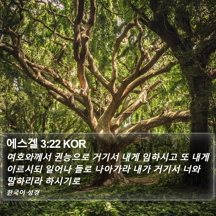 에스겔 3:22 KOR Bible Study