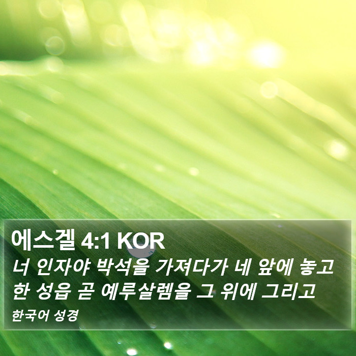 에스겔 4:1 KOR Bible Study