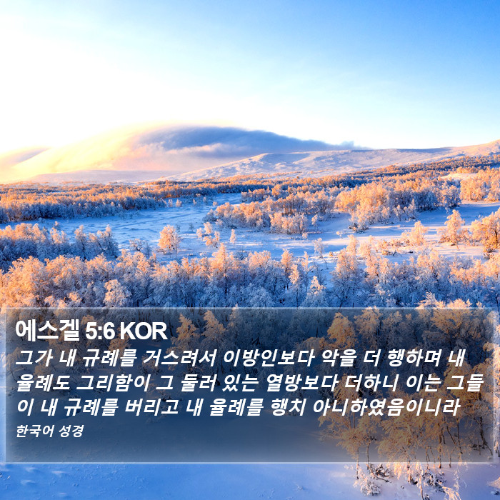 에스겔 5:6 KOR Bible Study