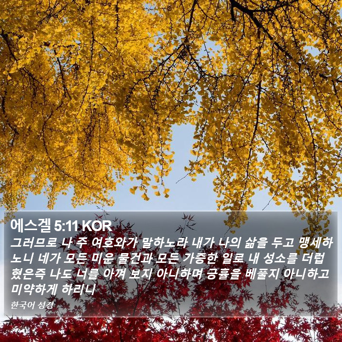 에스겔 5:11 KOR Bible Study