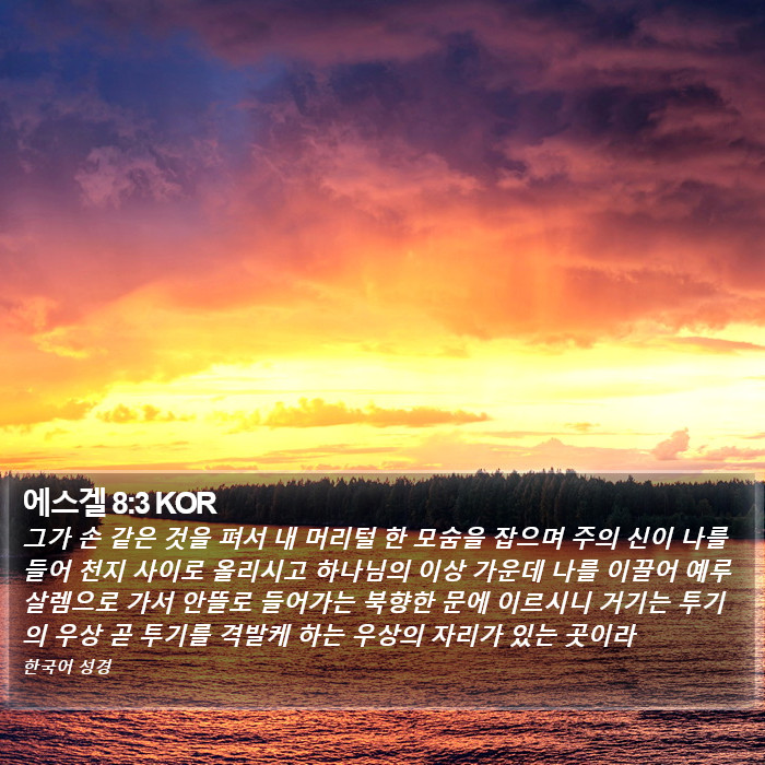 에스겔 8:3 KOR Bible Study