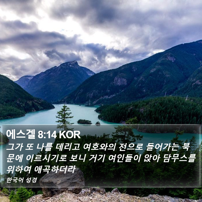 에스겔 8:14 KOR Bible Study