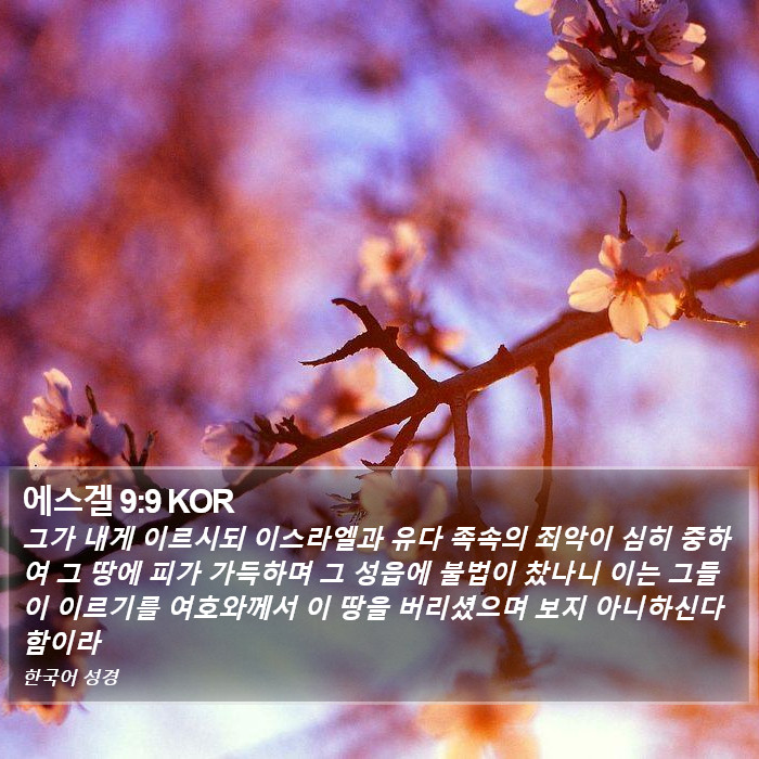 에스겔 9:9 KOR Bible Study