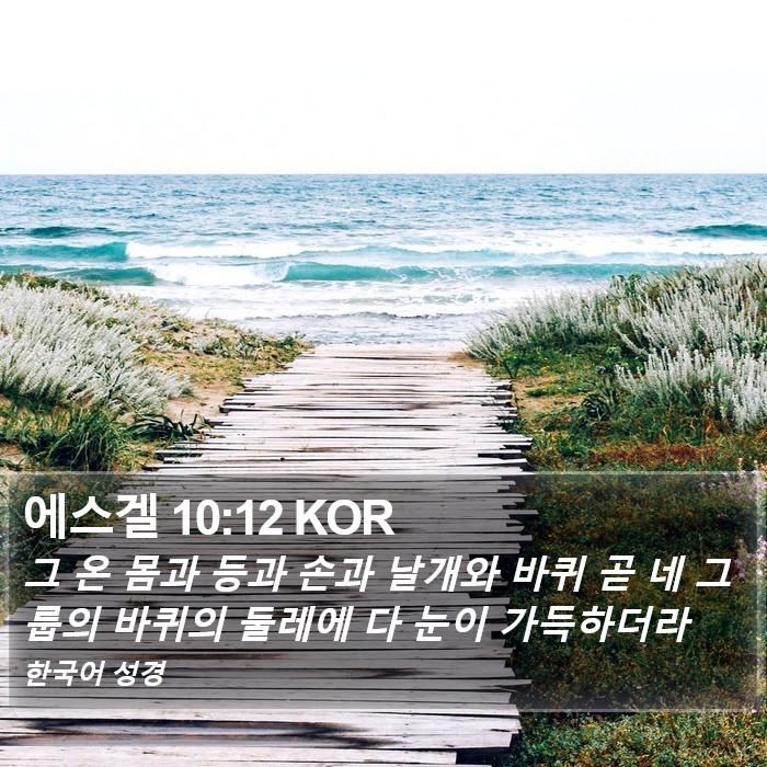 에스겔 10:12 KOR Bible Study