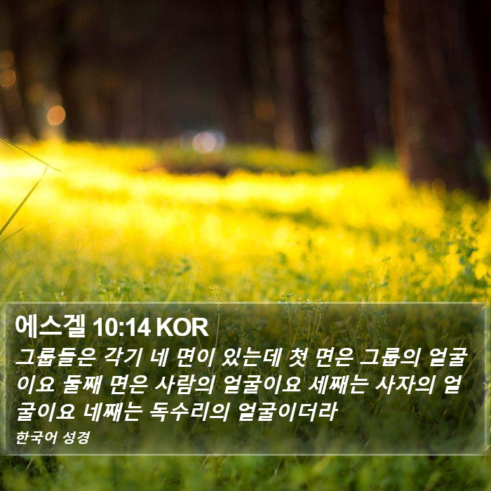 에스겔 10:14 KOR Bible Study