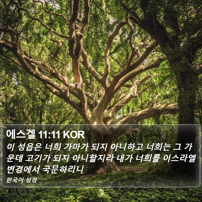 에스겔 11:11 KOR Bible Study