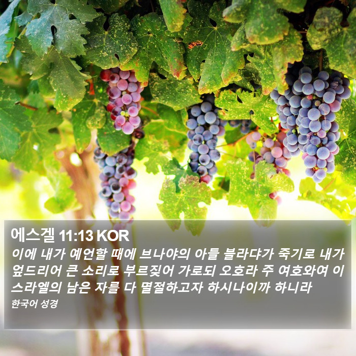 에스겔 11:13 KOR Bible Study