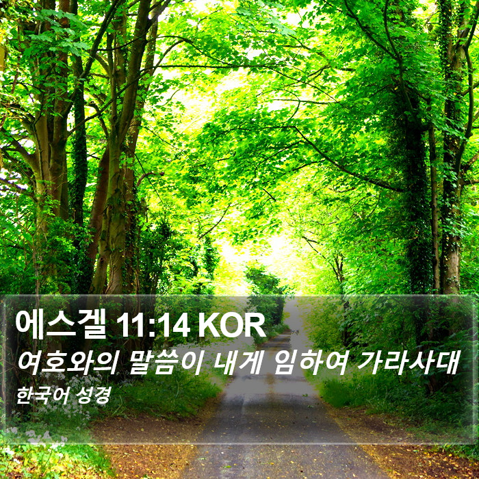 에스겔 11:14 KOR Bible Study