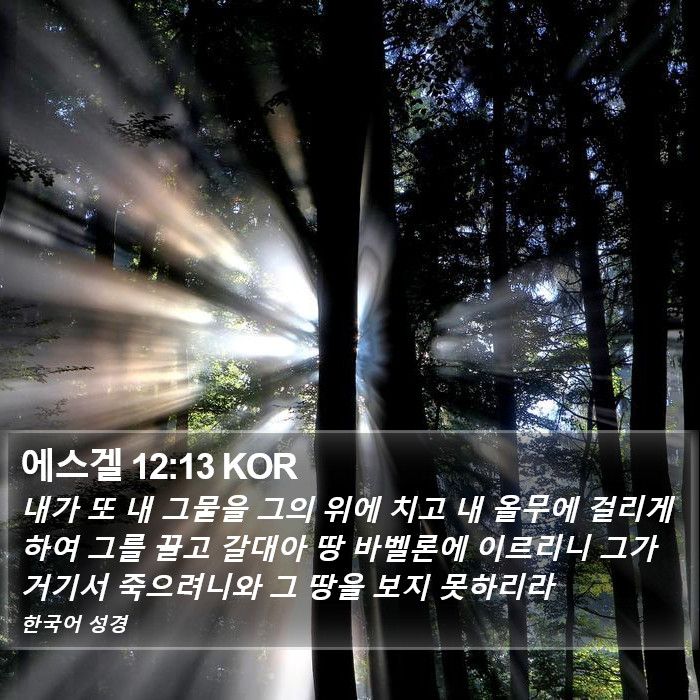 에스겔 12:13 KOR Bible Study