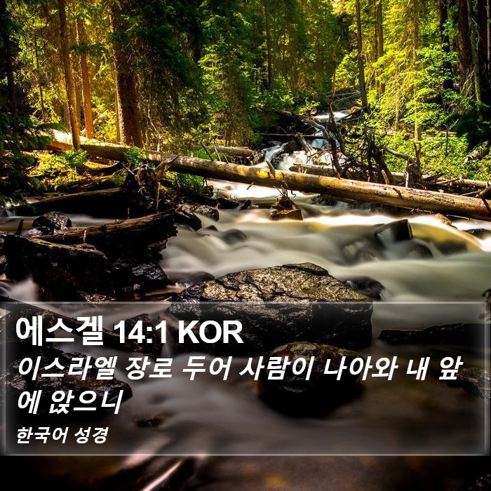 에스겔 14:1 KOR Bible Study