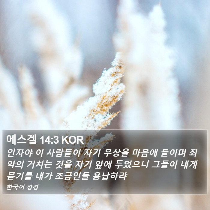 에스겔 14:3 KOR Bible Study