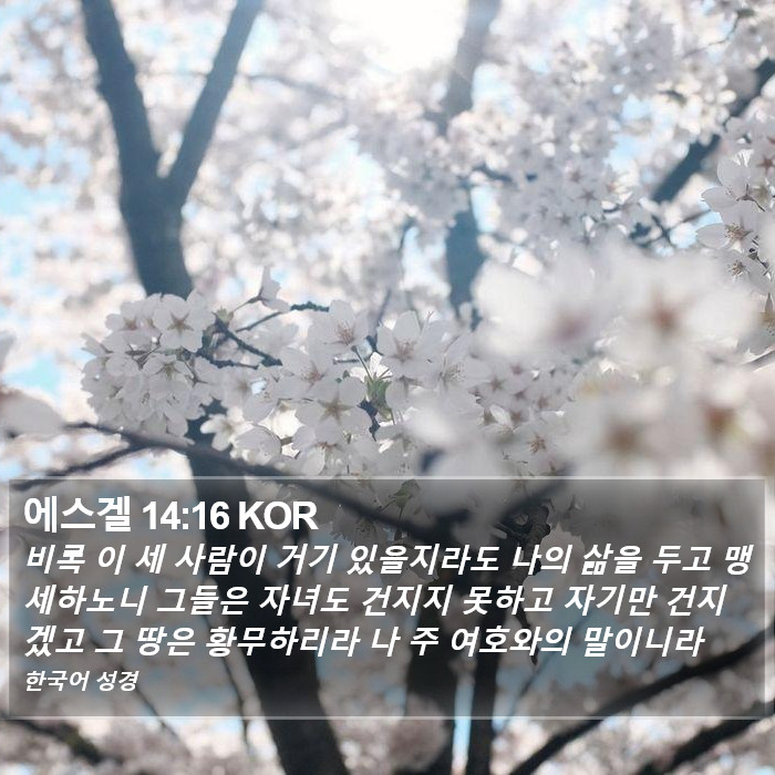 에스겔 14:16 KOR Bible Study