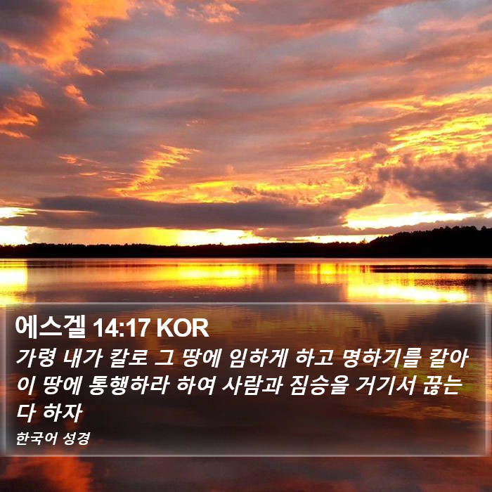 에스겔 14:17 KOR Bible Study