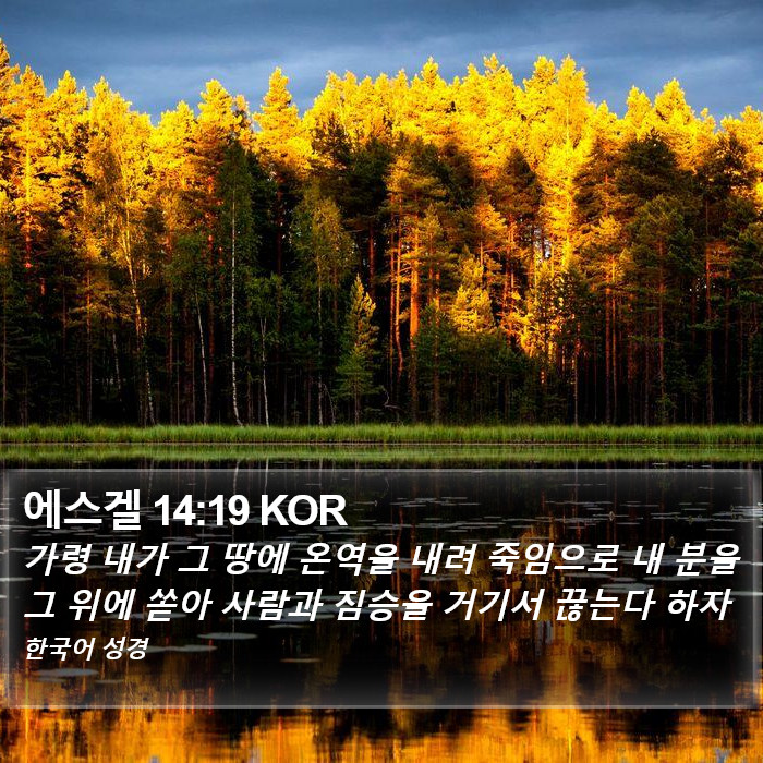 에스겔 14:19 KOR Bible Study