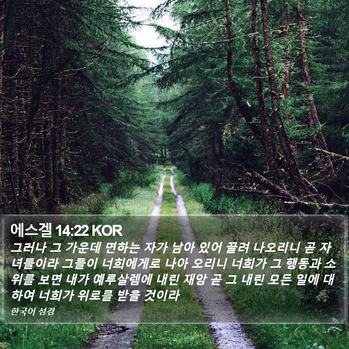 에스겔 14:22 KOR Bible Study