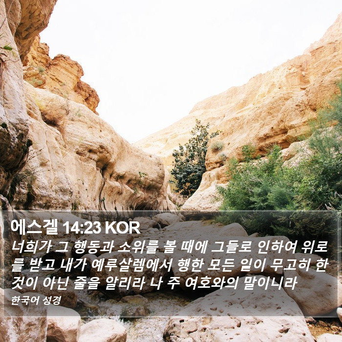 에스겔 14:23 KOR Bible Study