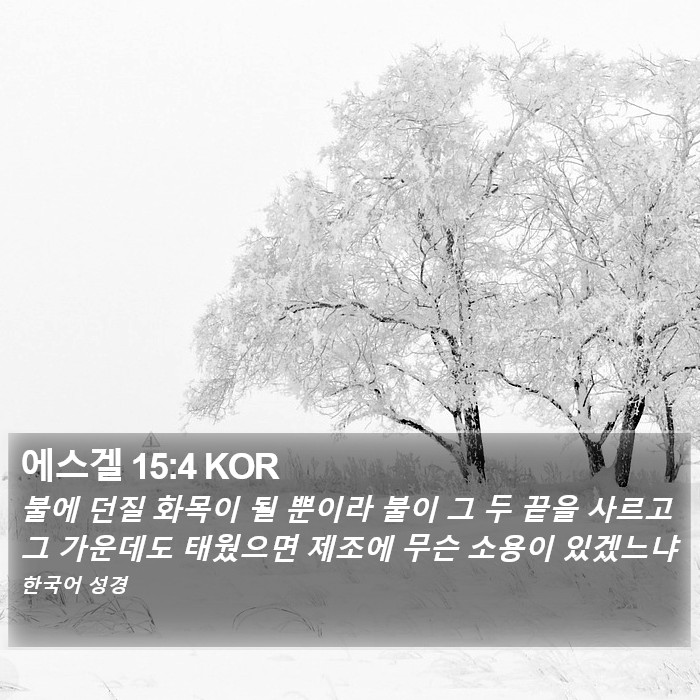 에스겔 15:4 KOR Bible Study