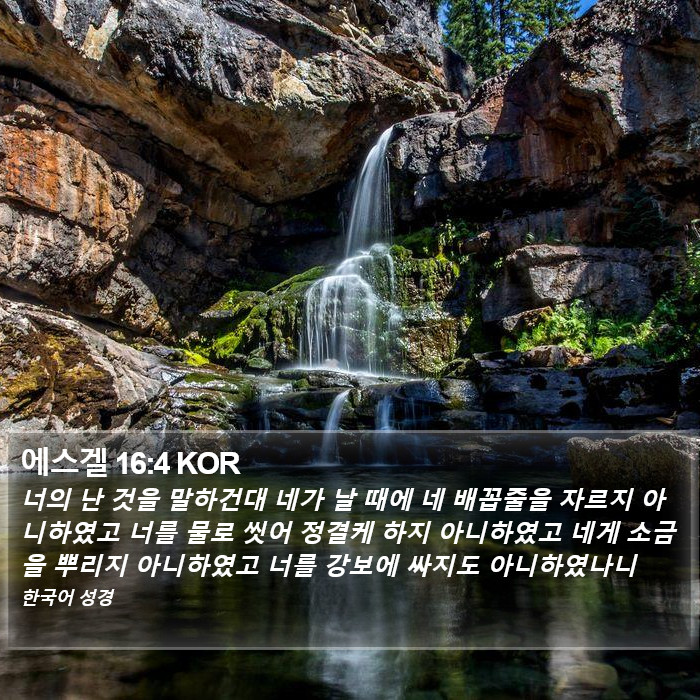 에스겔 16:4 KOR Bible Study
